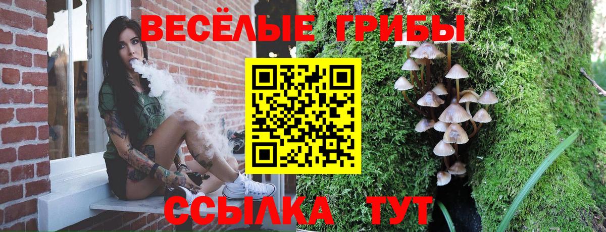 Галлюциногенные грибы Psilocybe  Галлюциногенные грибы мухоморы  Вход с VPN  Гулькевичи 